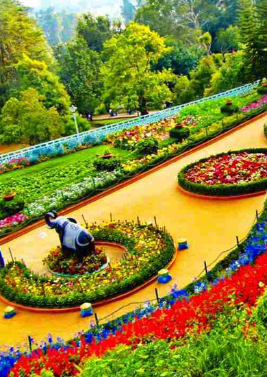 Ooty